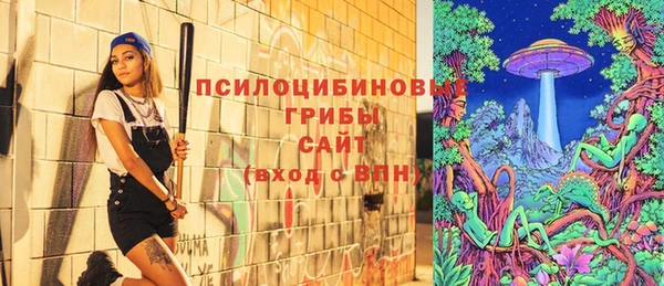молекула духа Арсеньев