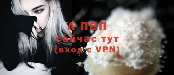 молекула духа Арсеньев