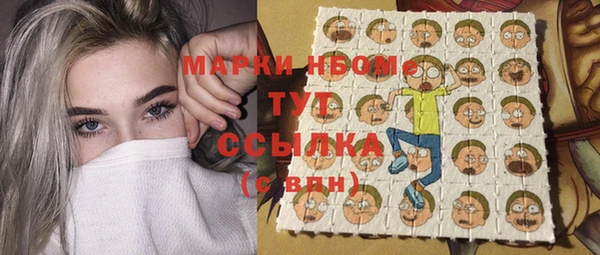 молекула духа Арсеньев