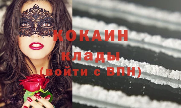 молекула духа Арсеньев