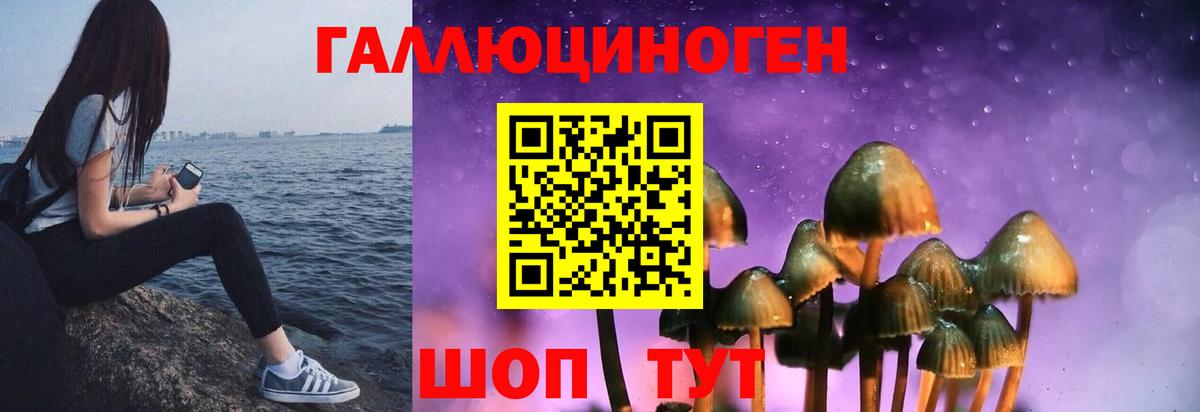 Псилоцибиновые грибы Cubensis Нижний Тагил