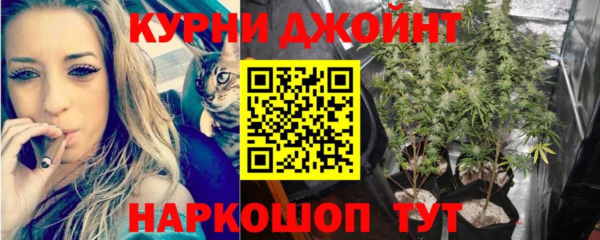 Канабис семена  МАРИХУАНА индика  Нижний Тагил  Вход с VPN 